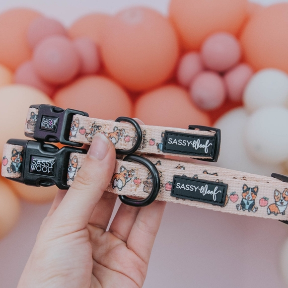 Sassy Woof Corgilicious Medium Dog Collar - Picture 3 of 8